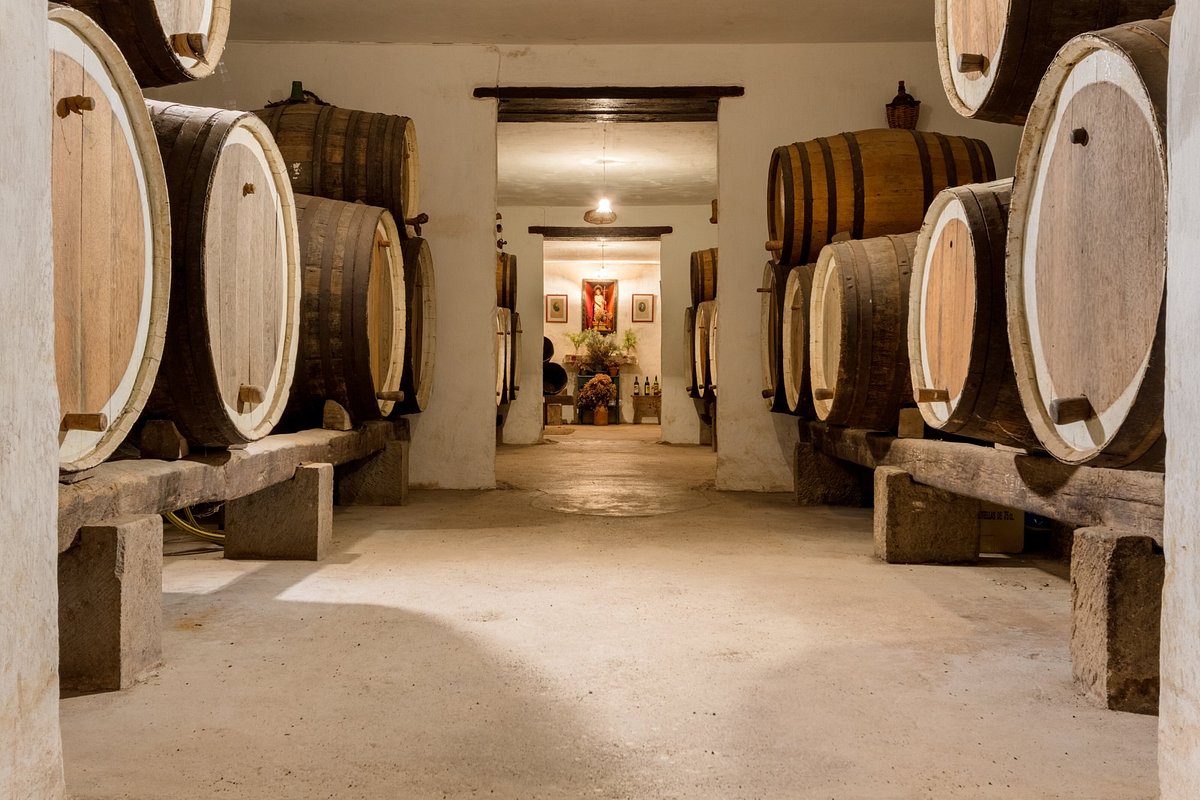 BODEGA DE SAN JUAN