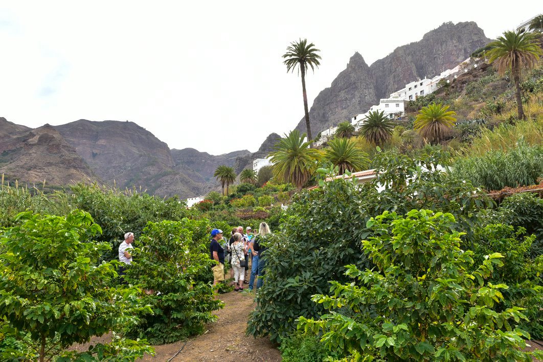 72489150_1387212701419841_5589839127597023232_n